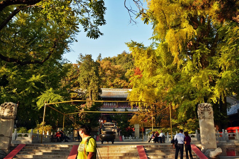 #留住美丽秋天# 北京最美秋色之一：潭拓寺
