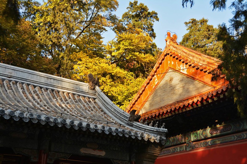 #留住美丽秋天# 北京最美秋色之一：潭拓寺