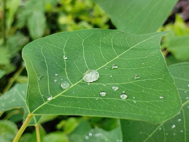 华为畅享60 Pro上手测评：经典双环+窄边直屏，千元机设计天花板