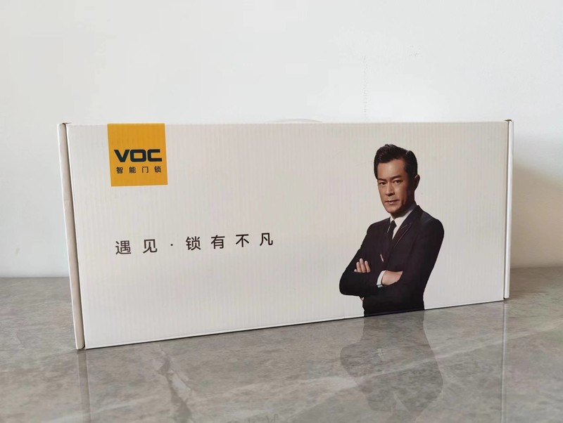 全屋智能从它开始：VOC智能门锁T10PLUS