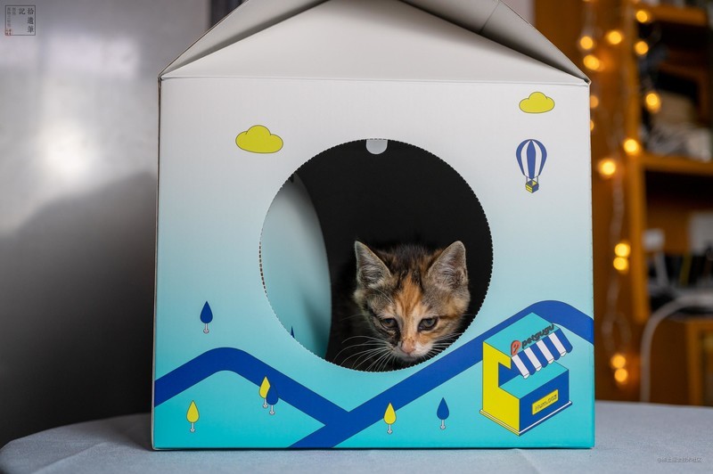 流动活水更可口，还能记录饮水情况，猫咪喜欢的瀑布饮水机