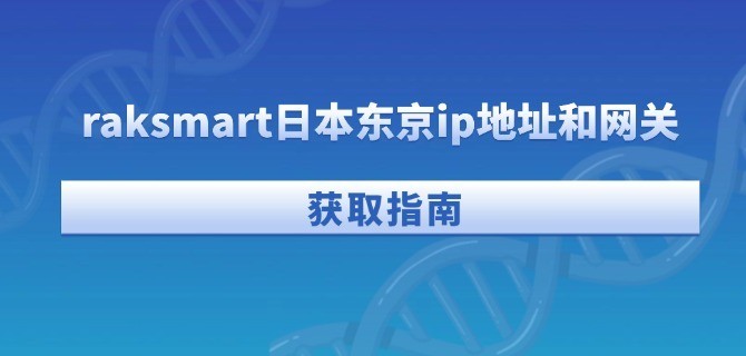 raksmart日本东京ip地址和网关获取指南