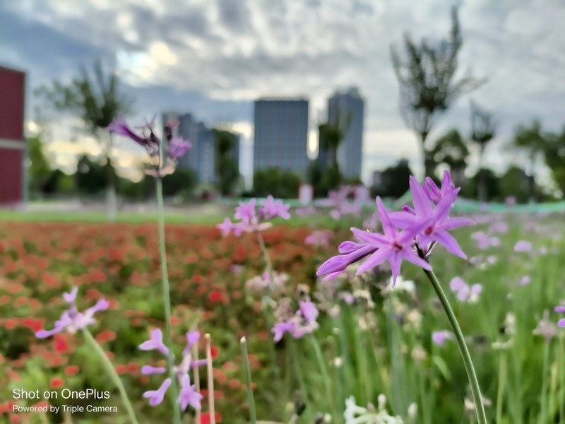 一加Ace竞速版体验：2K手机价位中的全能手