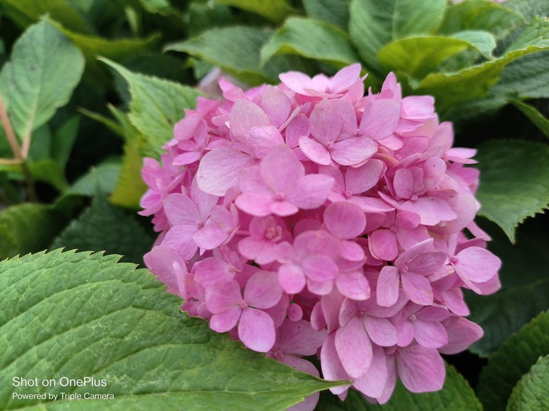 一加Ace竞速版体验：2K手机价位中的全能手