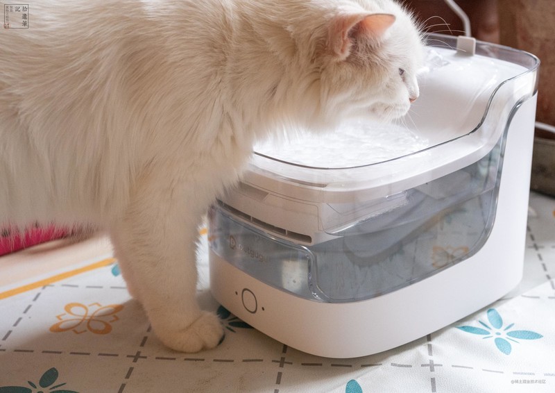 流动活水更可口，还能记录饮水情况，猫咪喜欢的瀑布饮水机