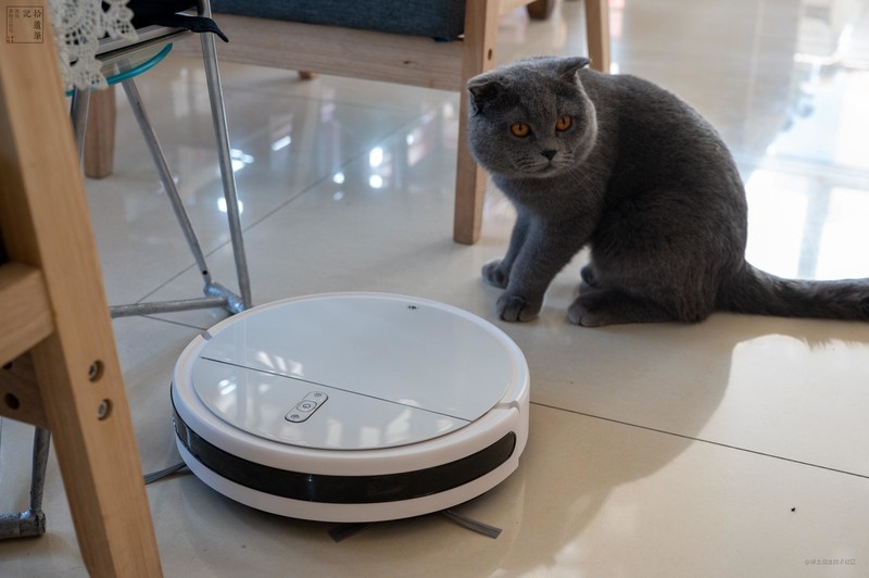 毛孩子专属的扫地机，净毛吸尘都在行，浦瑞克N8Plus宠物净毛宝上手