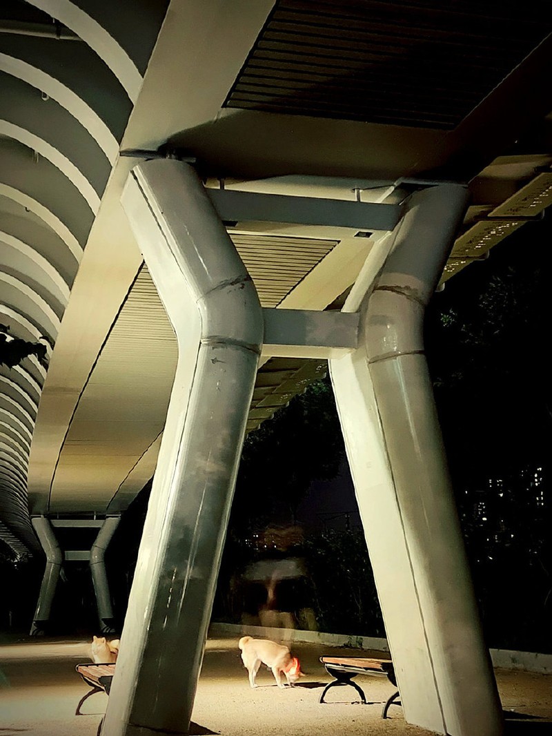 投石问路：功能全且好用，斯莫格三脚架为摄影提升效率