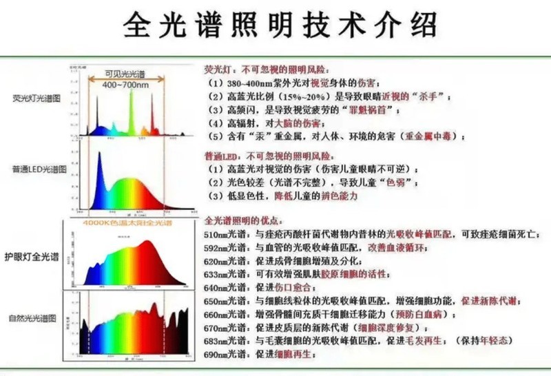 [家用led灯十大品牌排行]：品质与性能的卓越之选