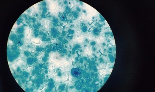 迷你小洗衣机什么牌子好一点？迷你洗衣机推荐精选四大品牌！