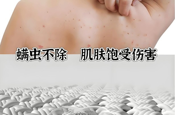 520情  人节送对象除螨仪合适吗？精选2025五大高口碑除螨仪