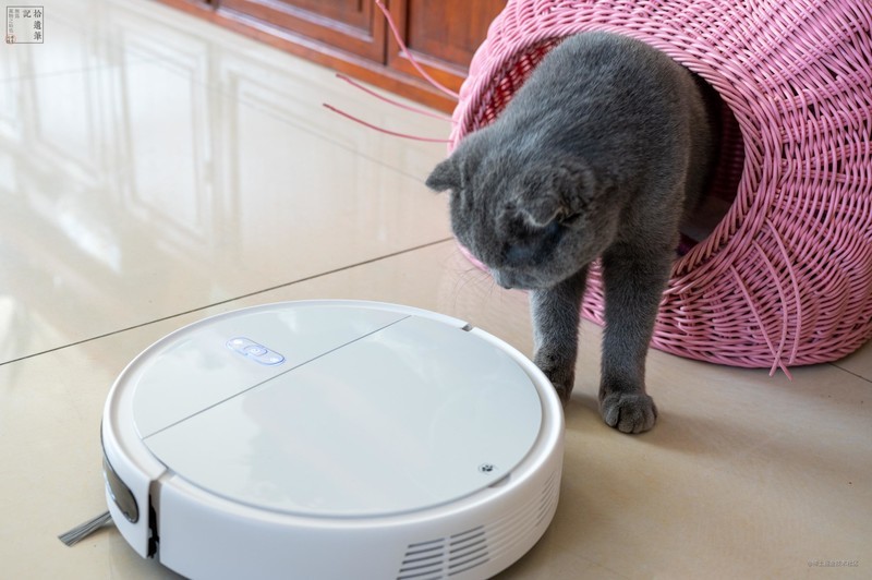 毛孩子专属的扫地机，净毛吸尘都在行，浦瑞克N8Plus宠物净毛宝上手