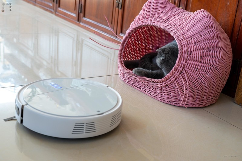 毛孩子专属的扫地机，净毛吸尘都在行，浦瑞克N8Plus宠物净毛宝上手