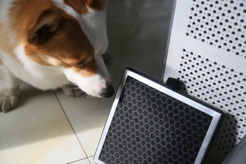 舒乐氏宠物精灵净化器C01，守护家的清新与爱宠的呼吸