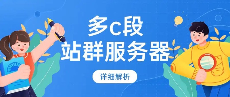 多c段站群服务器详细解析