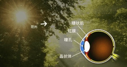 学生如何正确使用台灯？精选适合学生写作业的台灯