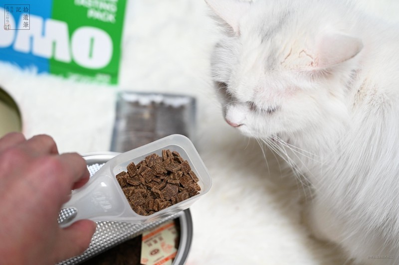 鲜香可口的国产WOMO风干猫粮，营养均衡肉量足，猫咪更爱吃