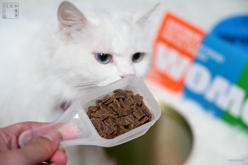 鲜香可口的国产WOMO风干猫粮，营养均衡肉量足，猫咪更爱吃
