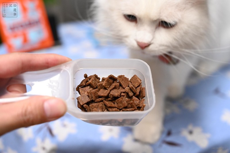 鲜香可口的国产WOMO风干猫粮，营养均衡肉量足，猫咪更爱吃