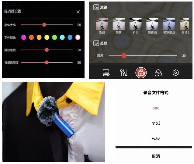塞宾智麦：功能强大的录音和语音识别麦克风