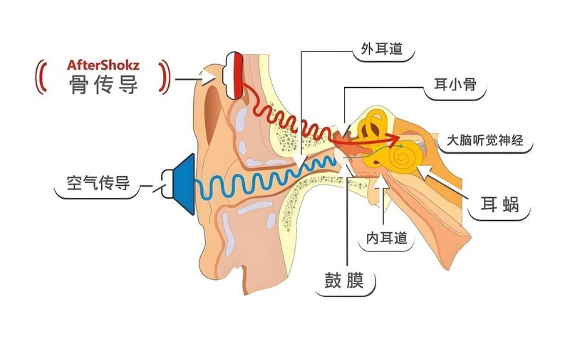 骨传导蓝牙耳机品牌前五名解析：骨传导耳机爆款多方位专业测评