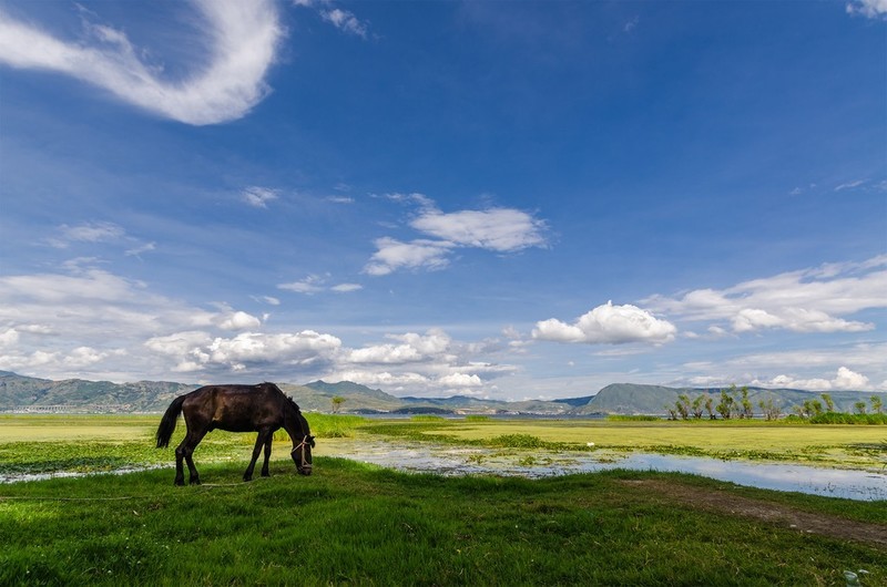 洱海、沙溪古镇