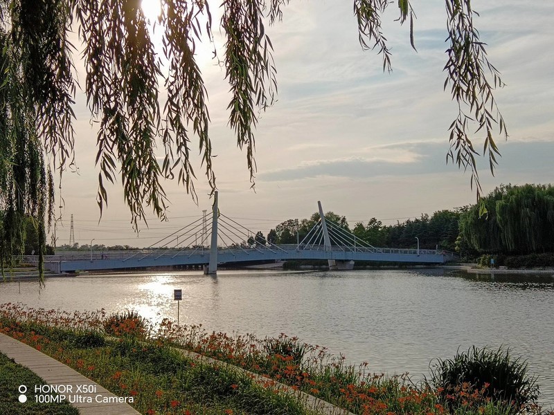 被吹爆的一亿像素，如今被千元机搭载，荣耀X50i上手一周体验