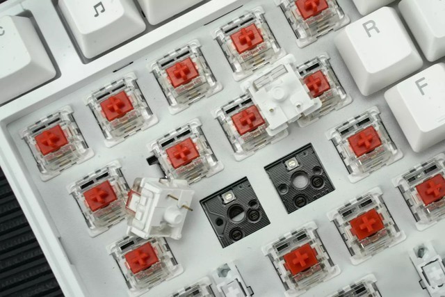 垃圾佬捡到宝，钛度键鼠的性价比太高