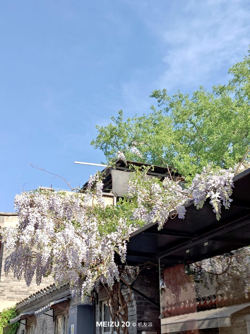 这才是我心心念的旗舰手机！魅族20上手体验