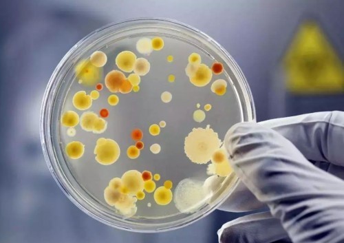 全自动小型洗衣机哪个牌子好？四款人气飙升小型洗衣机品牌分享