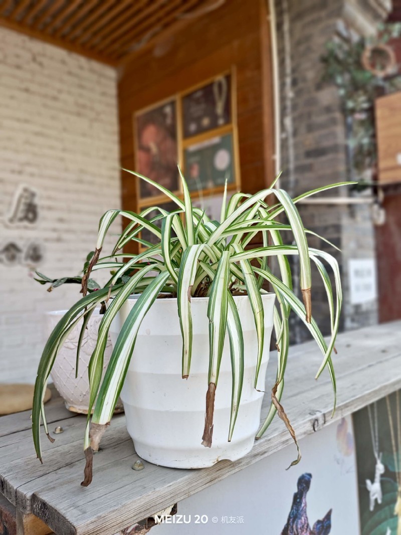 这才是我心心念的旗舰手机！魅族20上手体验