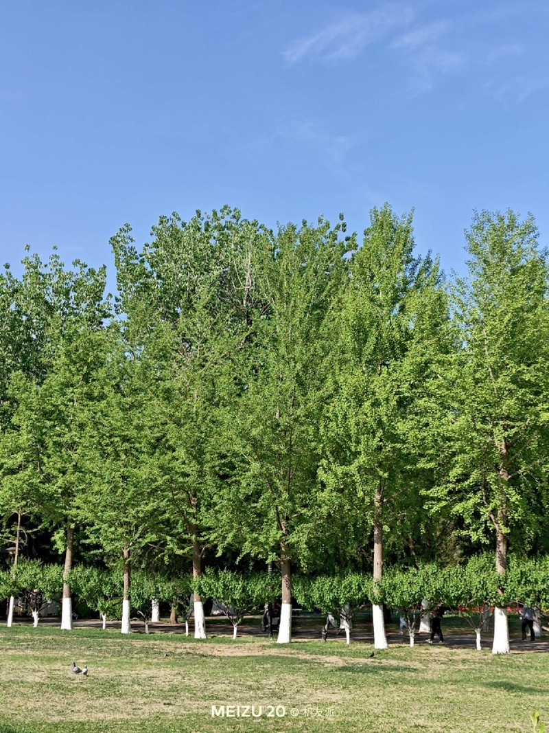 这才是我心心念的旗舰手机！魅族20上手体验