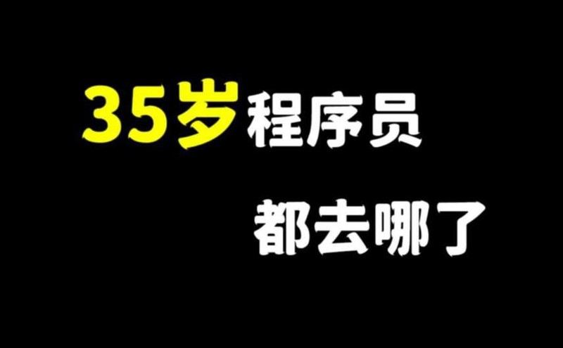 35岁的程序员都干啥去了?