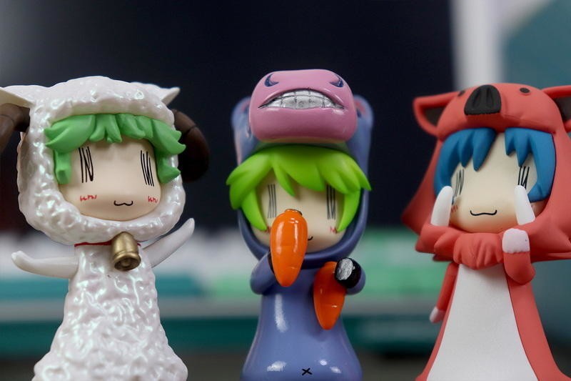 盲盒的快乐，请身体力行！dodowo废柴君的动物园公仔12连开体验