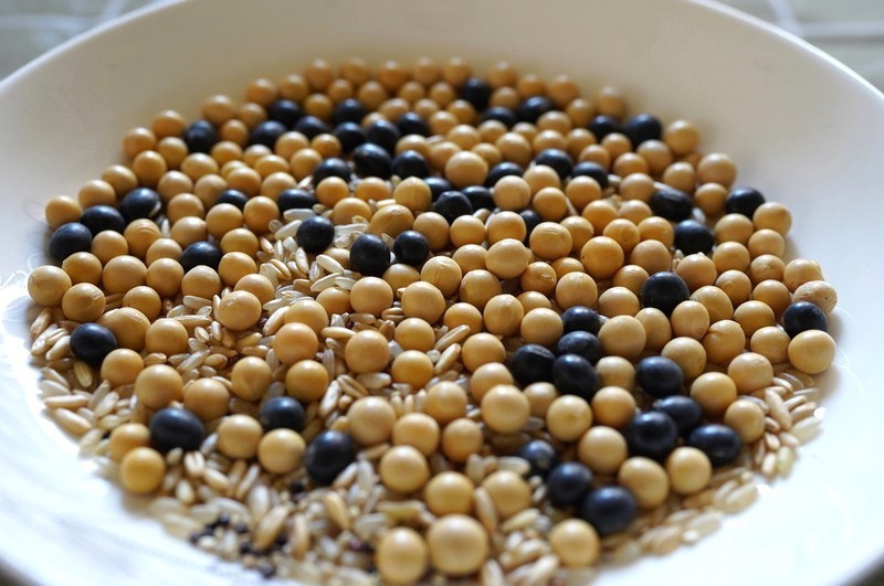 米家豆浆机 享受健康生活的新选择