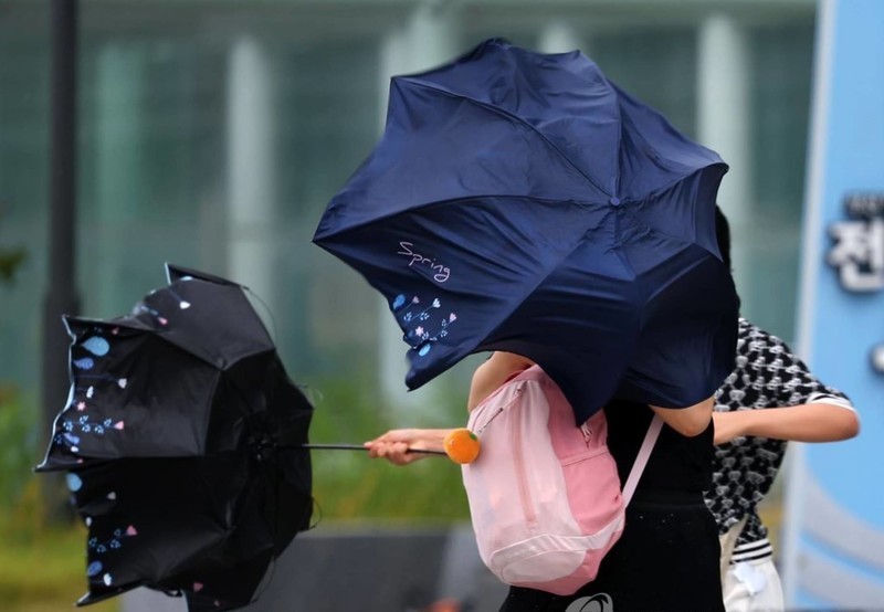 送广东好友的超赞礼物：日全时电动智能雨伞Pro