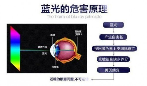 什么样的台灯保护视力比较好?无广实测小学生用什么样的台灯护眼