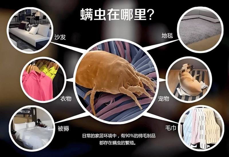 十大公认好用的除螨仪品牌？2025年10大硬核机型闭眼入不踩雷！