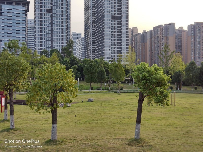 有颜有值的性能手机新标杆：一加Ace Pro深度体验