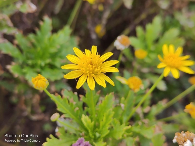 有颜有值的性能手机新标杆：一加Ace Pro深度体验