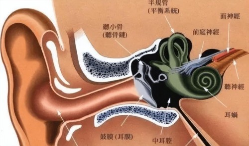 哪种类型的耳机不伤耳朵？五款口碑绝佳机型安利！