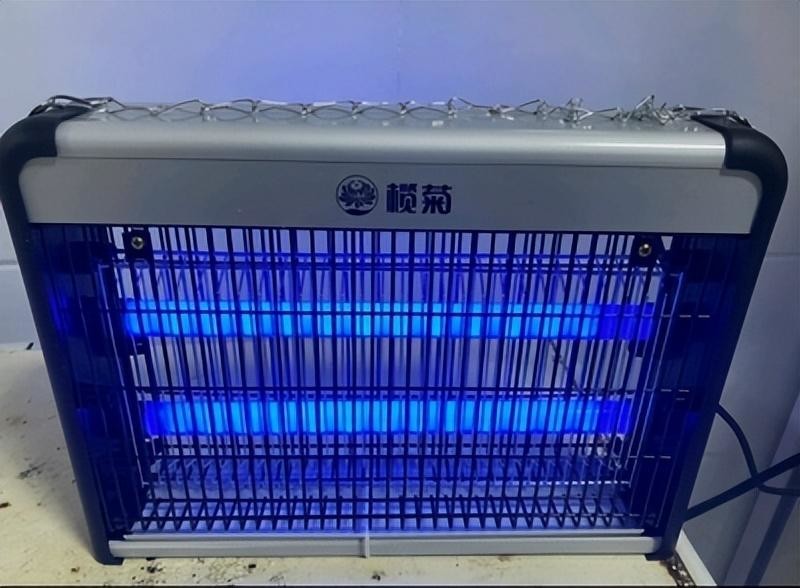 蚊子为啥黑夜出没，一开灯就找不到了？有啥办法能消灭它们？