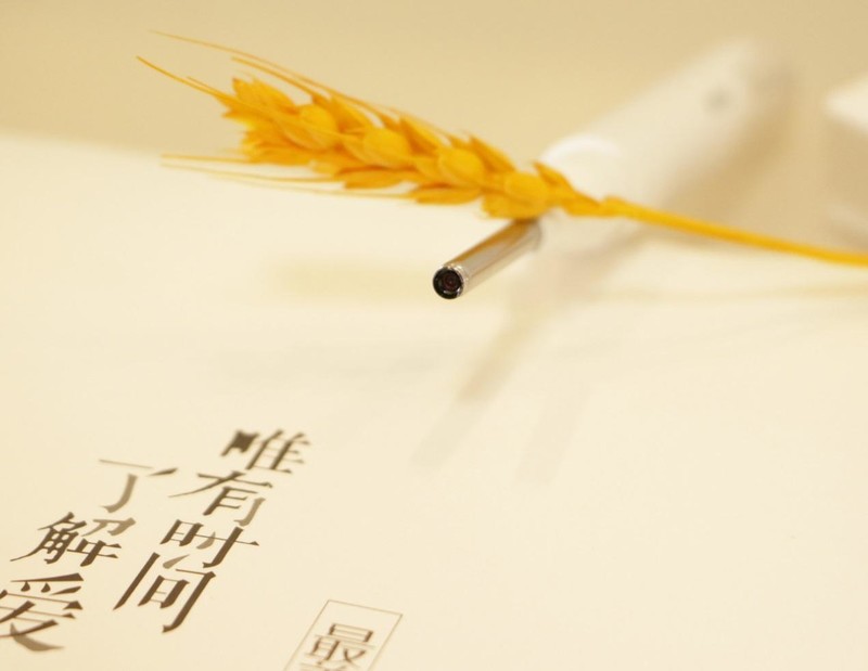 西圣Find智能可视耳勺体验！所见所得，可以有一个大胆的想法