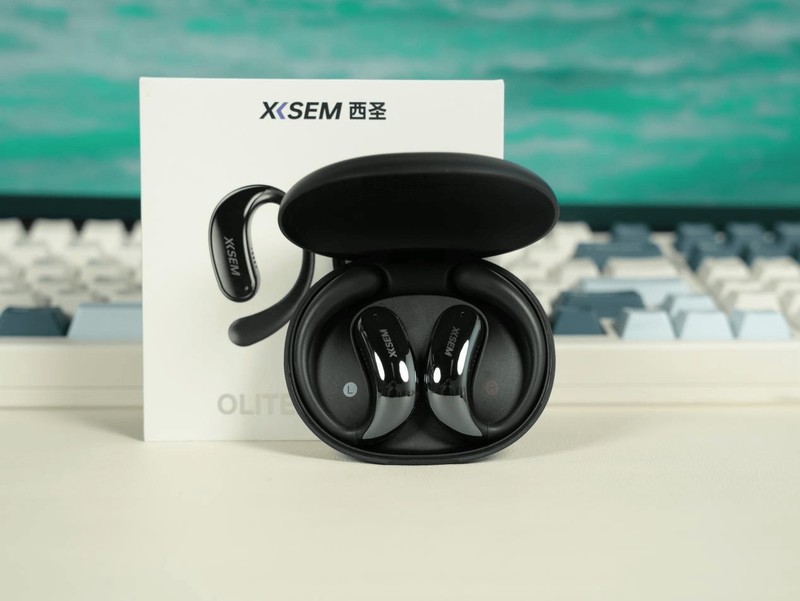 耳挂式蓝牙耳机什么牌子好、百元十大顶级耳挂式蓝牙耳机推荐