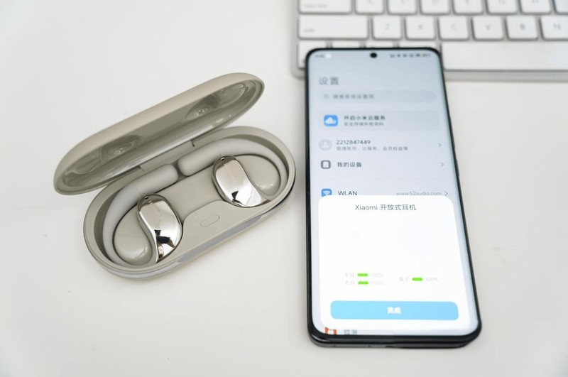 耳挂式蓝牙耳机什么牌子好、百元十大顶级耳挂式蓝牙耳机推荐