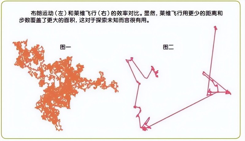 蚊子为啥黑夜出没，一开灯就找不到了？有啥办法能消灭它们？