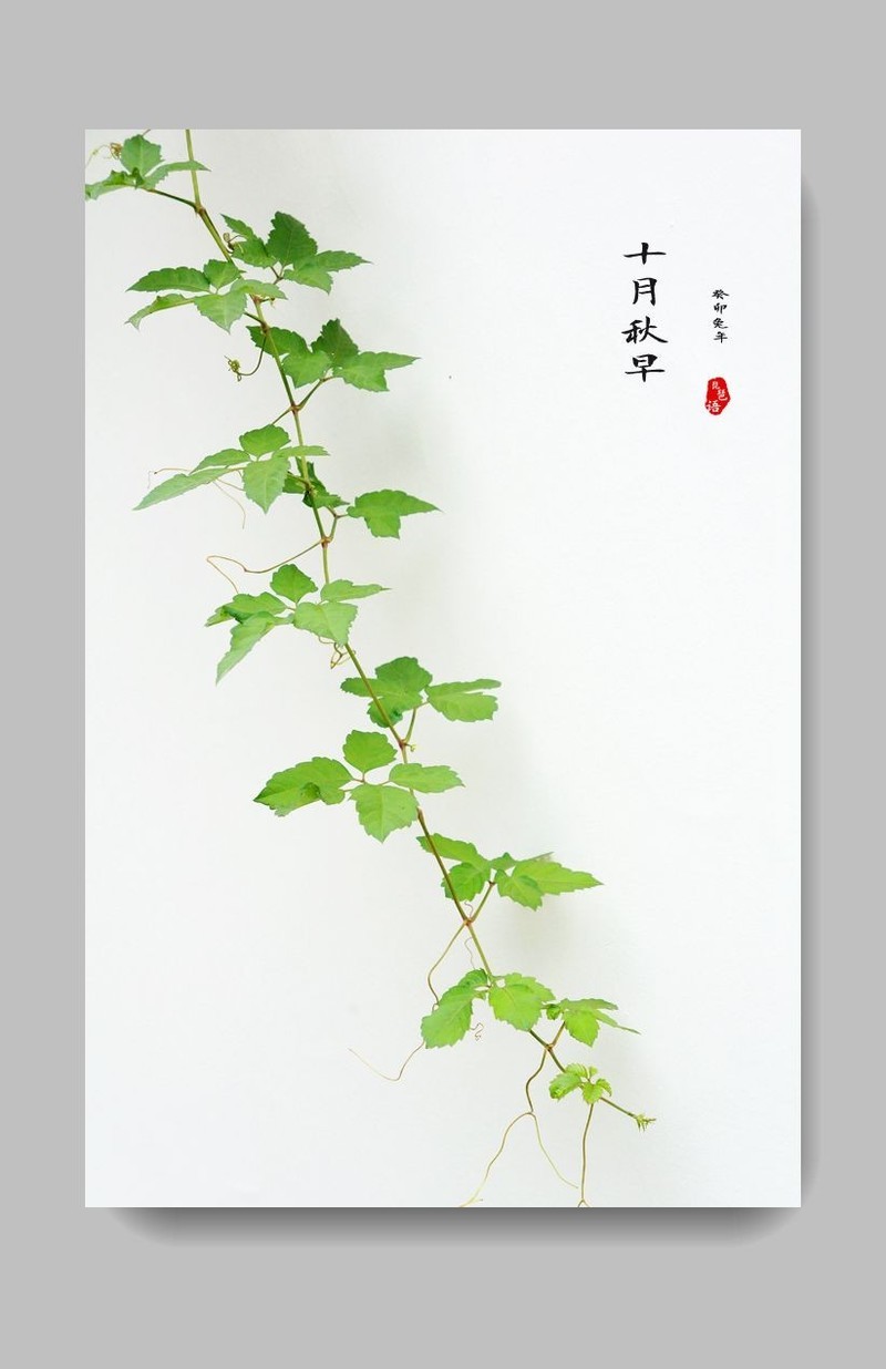 《每日欣赏》！！！并祝新朋老友国庆节开心愉快！！！