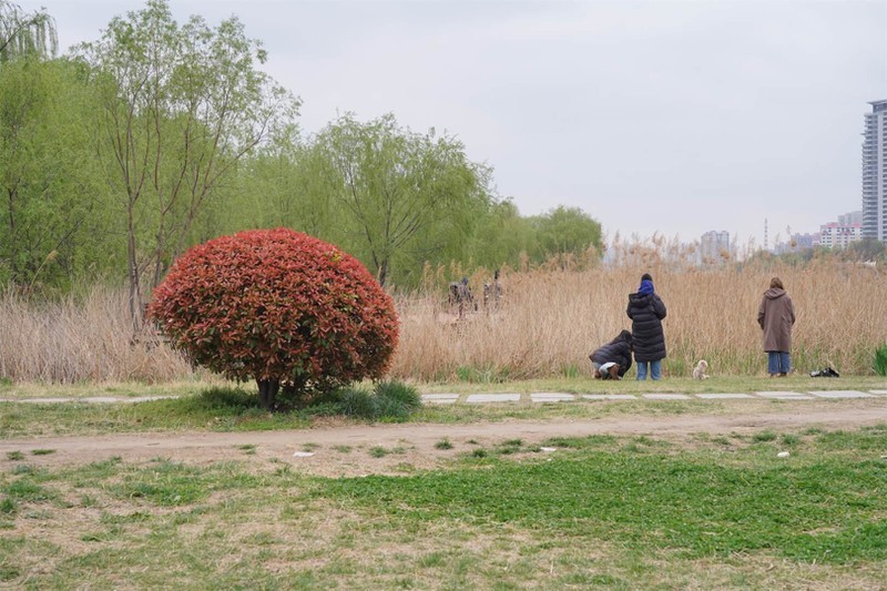 户外野营，聚会烧烤，让你摆脱用电焦虑，这样的设备你怎么能错过