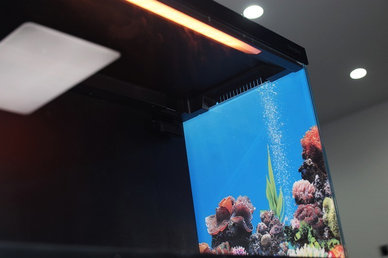 让智能养鱼变得如此简单 当贝智能鱼缸 1 Ultra