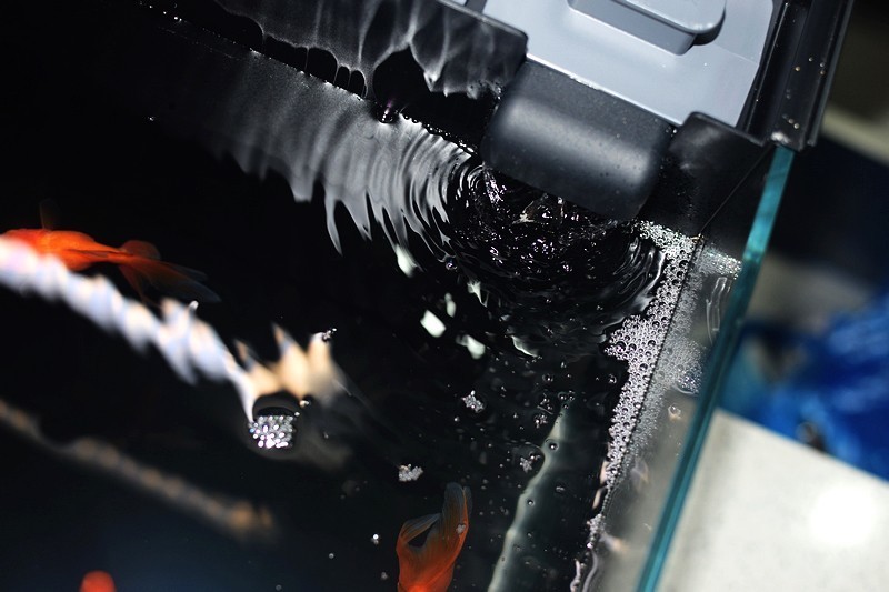 让智能养鱼变得如此简单 当贝智能鱼缸 1 Ultra