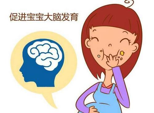 科普小知识，孕期胎儿大脑的发育过程